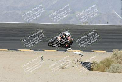 media/Apr-25-2025-BRL Bagger Racing League (Fri) [[6011495a33]]/1-Open Practice (9am-12pm)/2- (10am-11am)/